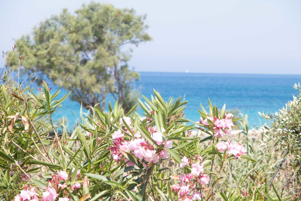 Villa Yialos Antiparos Town Exterior foto